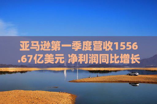 亚马逊第一季度营收1556.67亿美元 净利润同比增长64%