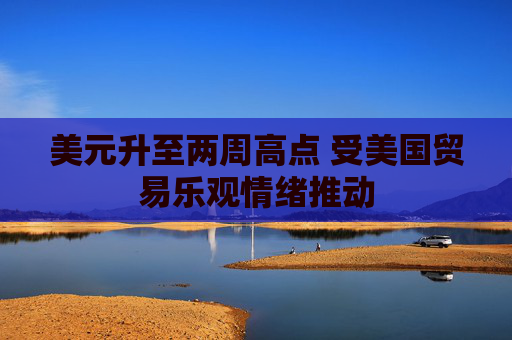 美元升至两周高点 受美国贸易乐观情绪推动