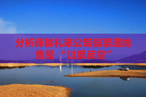 分析师称礼来公司股票遭抛售是 “过度反应”