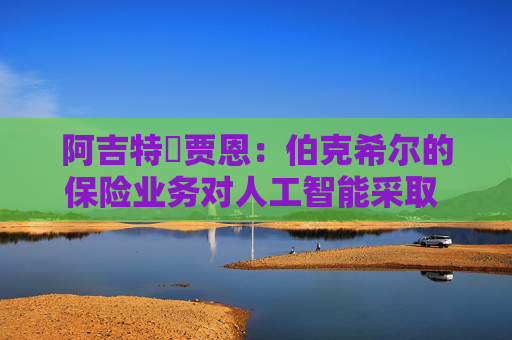 阿吉特・贾恩：伯克希尔的保险业务对人工智能采取 “观望” 态度