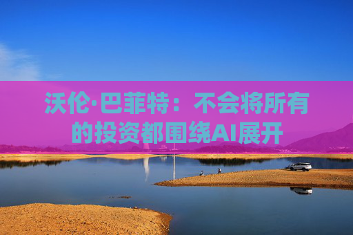 4500网约外围模特女神 沃伦·巴菲特：不会将所有的投资都围绕AI展开  第1张