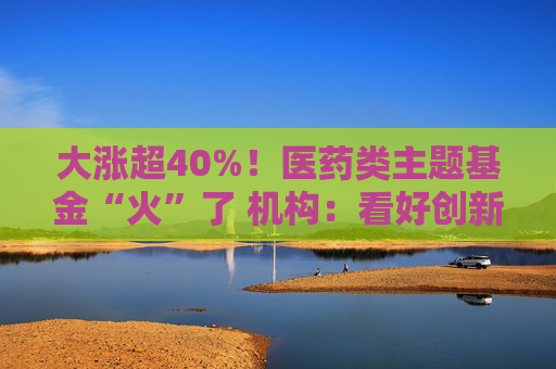大涨超40%！医药类主题基金“火”了 机构：看好创新药投资机会