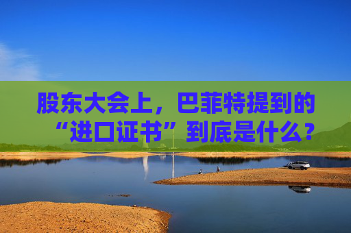 股东大会上，巴菲特提到的“进口证书”到底是什么？