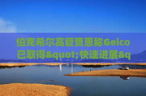 伯克希尔高管贾恩称Geico已取得"快速进展"
