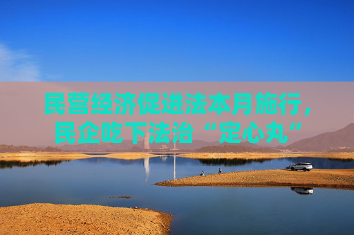 民营经济促进法本月施行，民企吃下法治“定心丸”