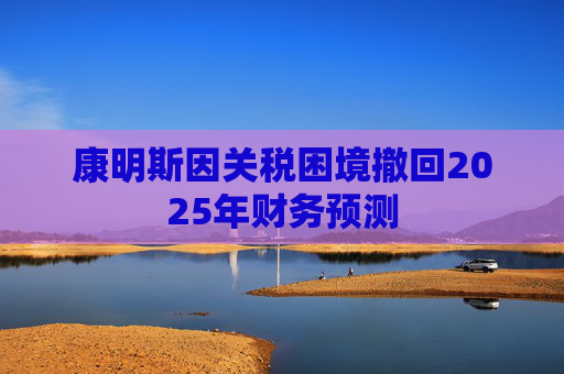 康明斯因关税困境撤回2025年财务预测