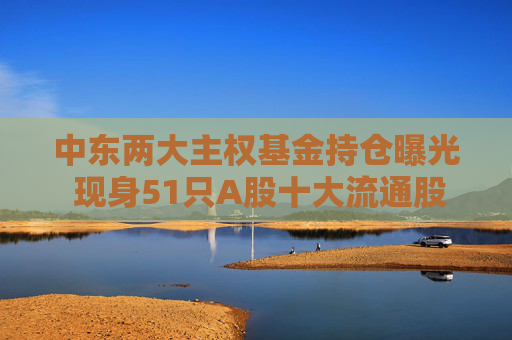 中东两大主权基金持仓曝光 现身51只A股十大流通股东名单