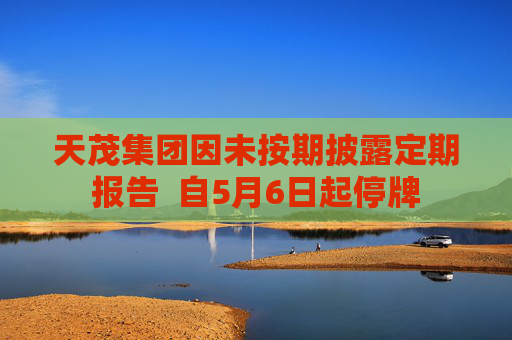 天茂集团因未按期披露定期报告  自5月6日起停牌
