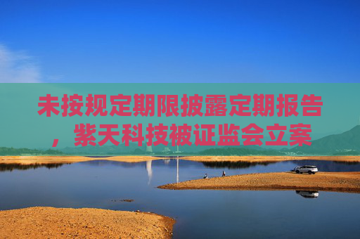 未按规定期限披露定期报告，紫天科技被证监会立案