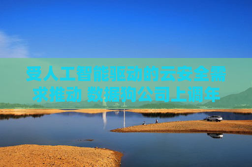 受人工智能驱动的云安全需求推动 数据狗公司上调年度营收预期