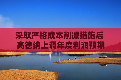 采取严格成本削减措施后 高德纳上调年度利润预期