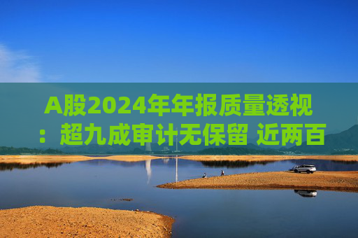 A股2024年年报质量透视：超九成审计无保留 近两百家获“非标”