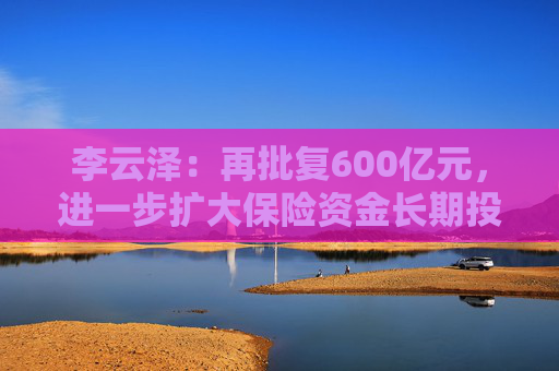 李云泽：再批复600亿元，进一步扩大保险资金长期投资试点范围