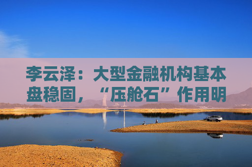 李云泽：大型金融机构基本盘稳固，“压舱石”作用明显