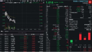 光模块走高，新易盛领涨4%，机构：东西共振，算力或迎新机会！创业板人工智能ETF华宝（159363）获加仓