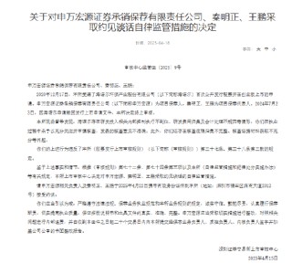 海诺尔IPO项目保荐履职不到位 申万宏源及两名保代被处分