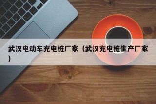 武汉电动车充电桩厂家（武汉充电桩生产厂家）