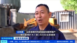出栏了！头均可赚150-200，五一备货提振猪价