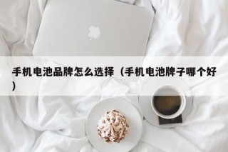 手机电池品牌怎么选择（手机电池牌子哪个好）