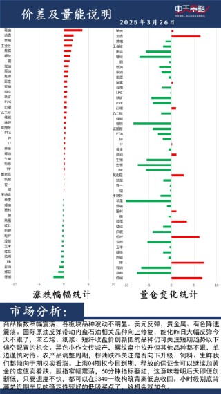 中天策略:3月26日市场分析