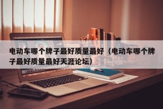 电动车哪个牌子最好质量最好（电动车哪个牌子最好质量最好天涯论坛）