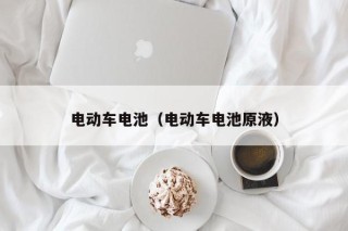 电动车电池（电动车电池原液）