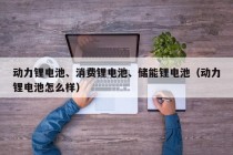 动力锂电池、消费锂电池、储能锂电池（动力锂电池怎么样）