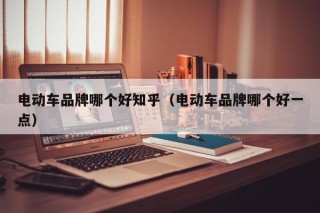 电动车品牌哪个好知乎（电动车品牌哪个好一点）