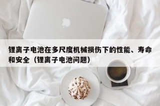 锂离子电池在多尺度机械损伤下的性能、寿命和安全（锂离子电池问题）