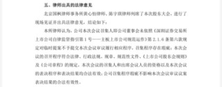 连亏之下，小崧股份五折股权激励藏“猫腻”，上演“消失”的临时议案