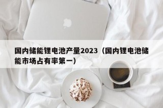 国内储能锂电池产量2023（国内锂电池储能市场占有率第一）