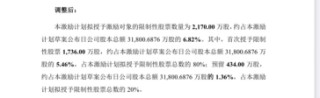 连亏之下，小崧股份五折股权激励藏“猫腻”，上演“消失”的临时议案