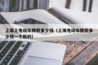 上海上电动车牌照多少钱（上海电动车牌照多少钱一个新的）