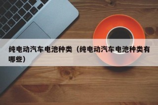 纯电动汽车电池种类（纯电动汽车电池种类有哪些）