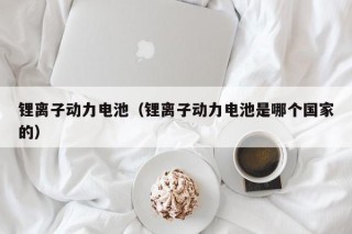 锂离子动力电池（锂离子动力电池是哪个国家的）