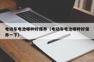 电动车电池哪种好保养（电动车电池哪种好保养一下）