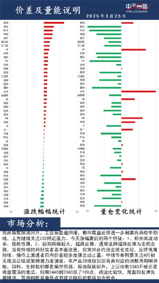 中天策略:3月25日市场分析