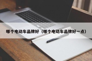 哪个电动车品牌好（哪个电动车品牌好一点）