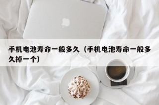 手机电池寿命一般多久（手机电池寿命一般多久掉一个）