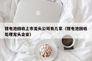锂电池回收上市龙头公司有几家（锂电池回收处理龙头企业）