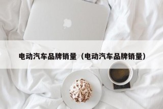 电动汽车品牌销量（电动汽车品牌销量）