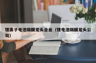 锂离子电池隔膜龙头企业（锂电池隔膜龙头公司）