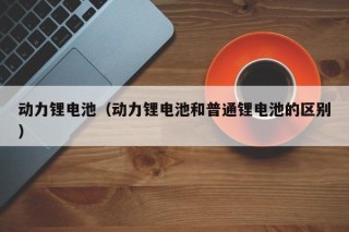 动力锂电池（动力锂电池和普通锂电池的区别）