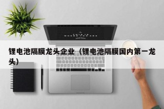 锂电池隔膜龙头企业（锂电池隔膜国内第一龙头）