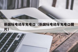 新国标电动车充电口（新国标电动车充电口图片）