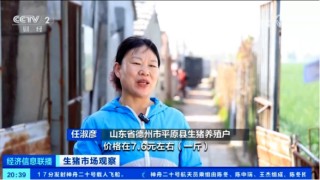 出栏了！头均可赚150-200，五一备货提振猪价