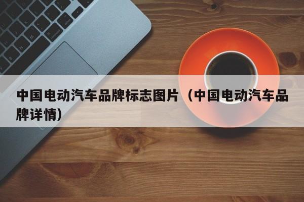 4480yy在线A片无码 中国电动汽车品牌标志图片（中国电动汽车品牌详情）  第1张