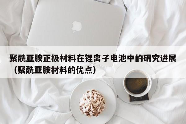 聚酰亚胺正极材料在锂离子电池中的研究进展（聚酰亚胺材料的优点）  第1张