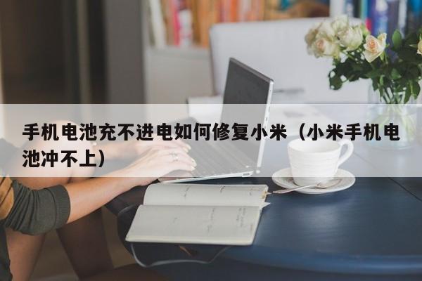 4480yy在线A片无码 手机电池充不进电如何修复小米（小米手机电池冲不上）  第1张