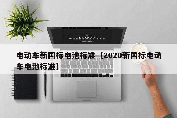 4480午夜理论免费无码 电动车新国标电池标准（2020新国标电动车电池标准）  第1张